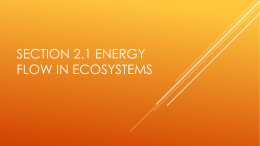 Section 2.1 Energy flow in ecosystems