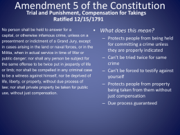 Constitution ProjectCastillo