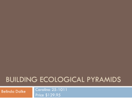 Building Ecological Pyramids