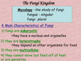 12_Fungi_Kingdom Notes