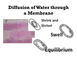 Diffusion of Water through a Membrane
