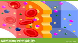 Membrane Permeability