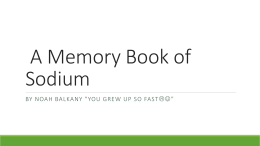 A Memory Book of Sodium
