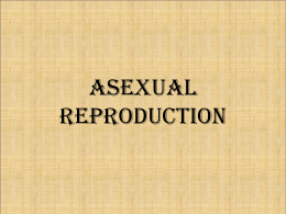 Asexual Reproduction - CAPE Biology Unit 1 Haughton XLCR 2013