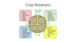 Crop Rotations - Groundswell Community Farm