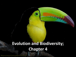 Chapter 4: Biodiversity and Evolution