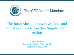 The Road Ahead - CEO Water Mandate
