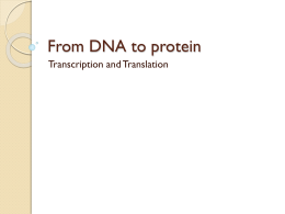From DNA to protein