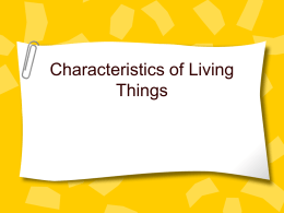 bio 11 characteristics of living things ppt