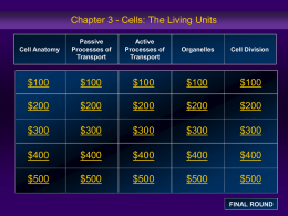 Cell Jeopardy Game File