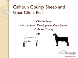 Calhoun County Sheep and Goat Presentation 1