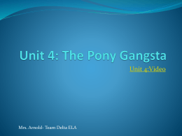 Unit 4: The Pony Gangsta
