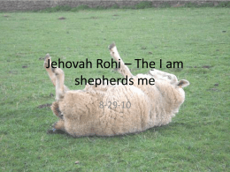 Jehovah Rohi * The I am is my shepherd