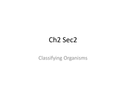 Ch2 Sec2 (7th).