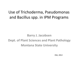 Use of Trichoderma, Pseudomonas and Bacillus spp. in IPM