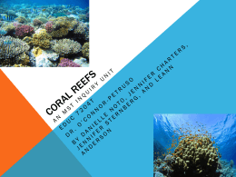 Coral Reefs - MyMSTWikiNET1