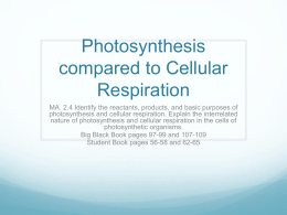 4.2 Photosynthesis 4.4 Cellular Respiration