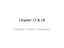 Chapter 17b