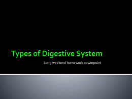 Types of Digestive System