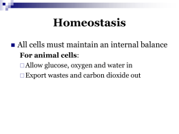 Homeostasis - uaslifescience