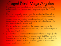 Caged Bird- Maya Angelou