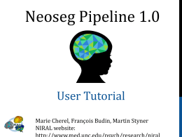NeosegPipeline User Tutorial