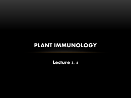 plant immunology lecture 3, 4