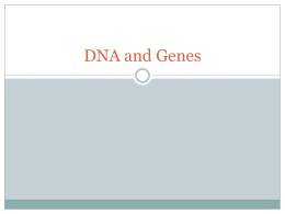 DNA and Genes - Coleg y Cymoedd Moodle