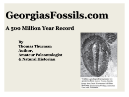 also walked Georgia 35 million years ago.