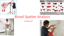 Blood Splatter Analysis - Northport