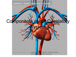 Component of our Circulatory System