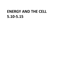 Energy and the Cell 5.10-5.15