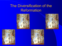 The Diversification of the Reformation