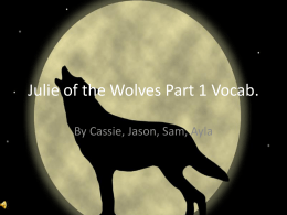 Julie of the Wolves Part 1 Vocab.