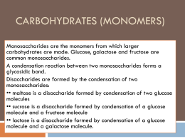 Carbohydrates (monomers)