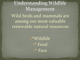 Wildlife Science
