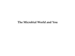 Microbial world