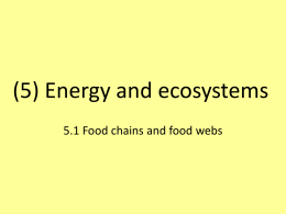 (5) Energy and ecosystems