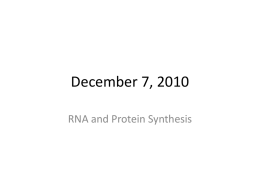 December 7, 2010 - Ms. Chambers` Biology