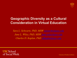301b Geographic Diversity as a Cultural Consideration in Virtual