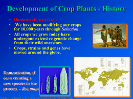Genetic Improvement of Crop Plants short version with animation links