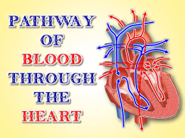 The heart contains these main components: OVERVIEW
