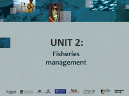 Unit 2 (Management)