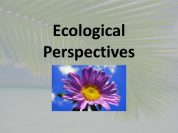 Ecological Perspectives