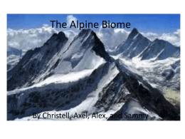 Alpine Biome