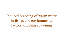 Induced breeding of warm water fish File