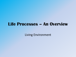 Life Processes * An Overview