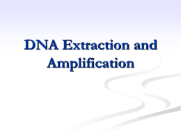 DNA Extraction and Amplification