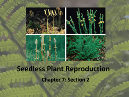 7.2 -- Seedless Reproduction