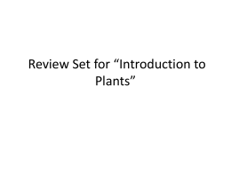 Review Set for *Introduction to Plants